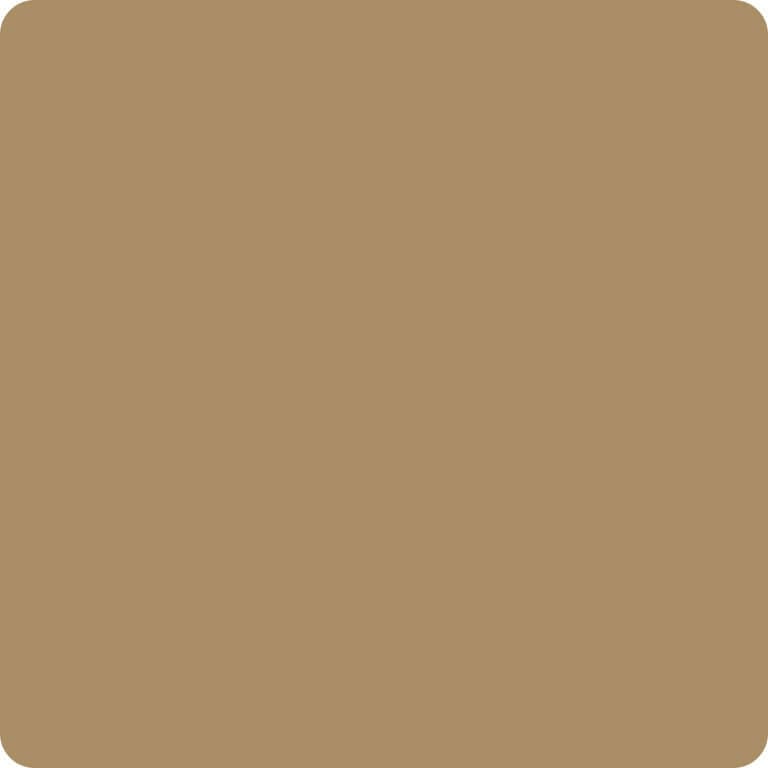 Color Champagne