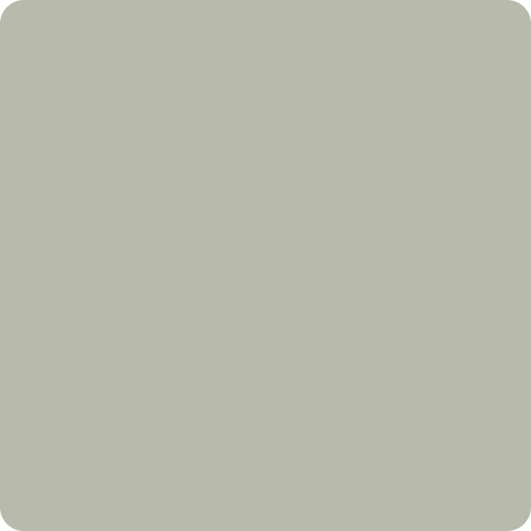 Color Gris