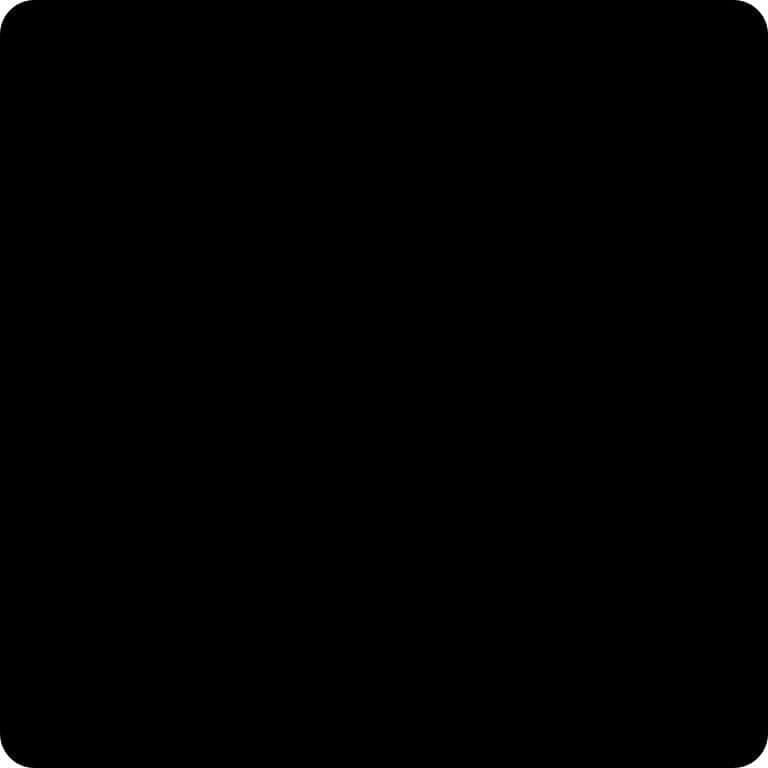 Color Negro